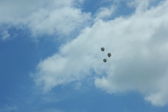 DSCN2302