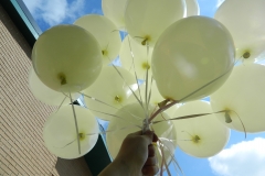 DSCN2364