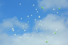 DSCN2386