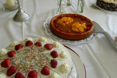 DSCN2421