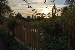 IMG_20200713_2059451-scaled