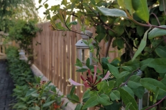 IMG_20200713_2100011-scaled