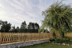 IMG_20200713_2102351-scaled