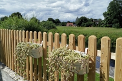 IMG_20200715_1455421-scaled