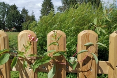 IMG_20200715_1507071-scaled