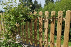 IMG_20200715_1508031-scaled